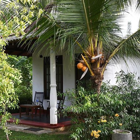 Bay Hill Guest House Tangalle Kültér fotó