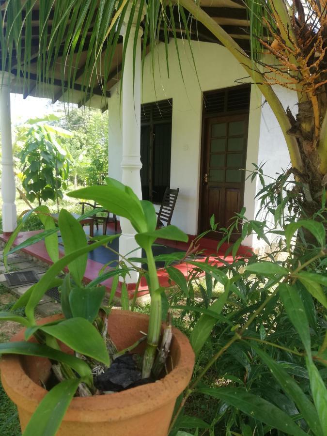 Bay Hill Guest House Tangalle Kültér fotó
