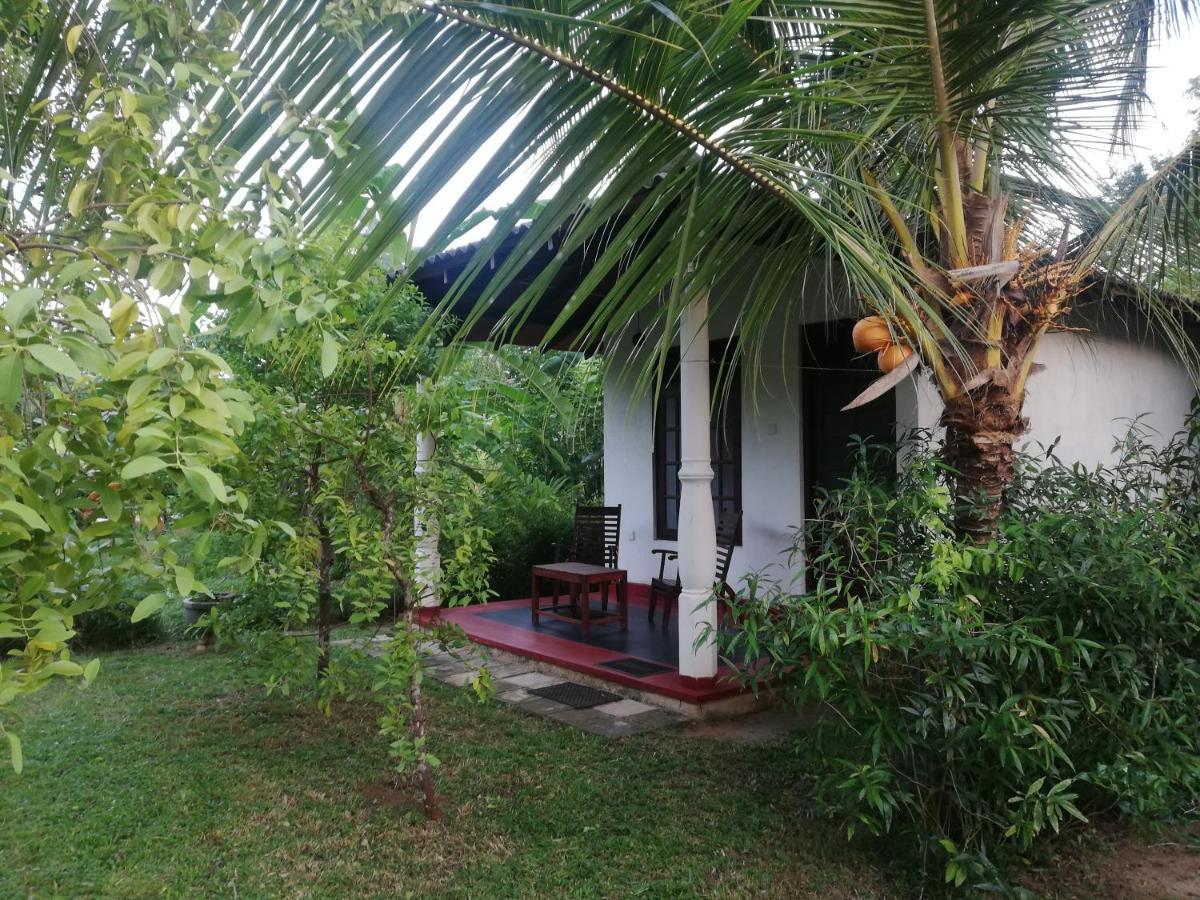 Bay Hill Guest House Tangalle Kültér fotó