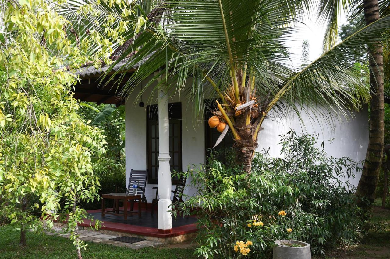 Bay Hill Guest House Tangalle Kültér fotó