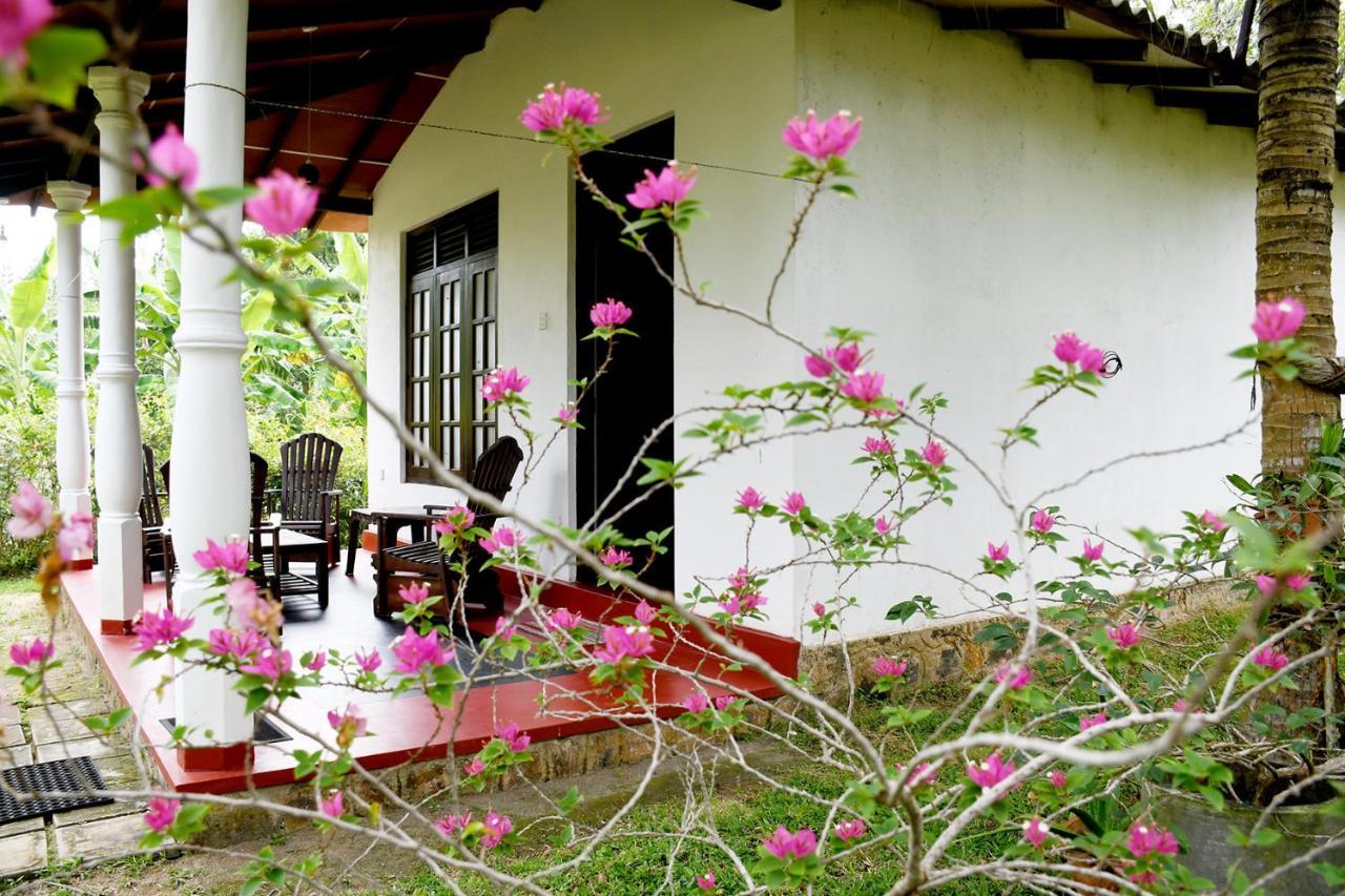 Bay Hill Guest House Tangalle Kültér fotó