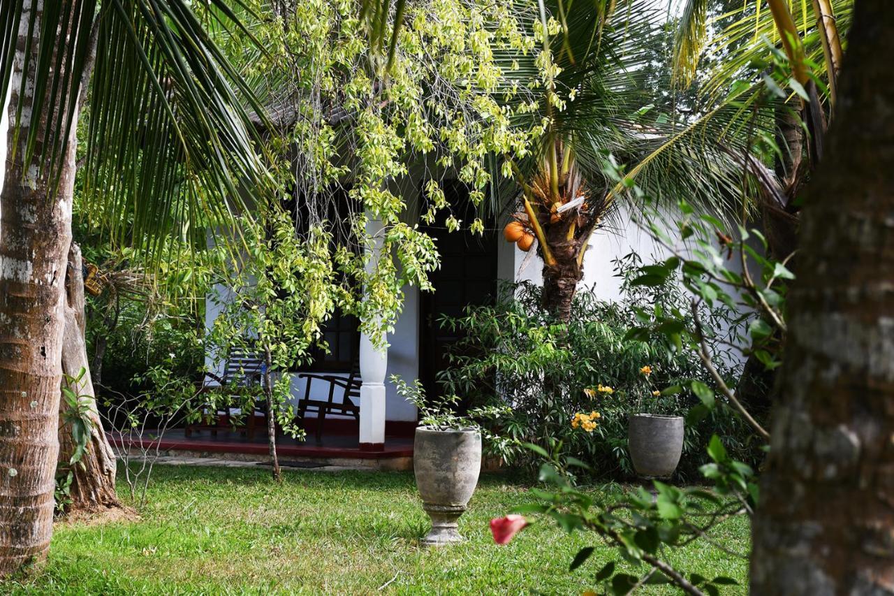 Bay Hill Guest House Tangalle Kültér fotó